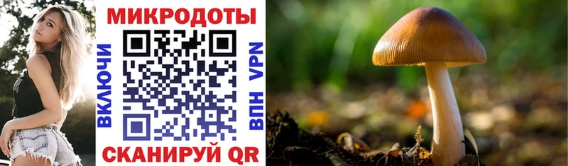 Псилоцибиновые грибы мухоморы  продажа наркотиков  Лихославль 